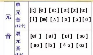 大学生学音标怎么自学 一起学音标