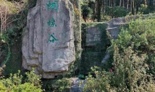 梧桐树爬山路线时间 梧桐山攻略